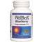 WellBetX Blueberry Concentrate 5:1 (90 cap) Natural Factors