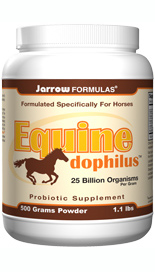 Equine-Dophilus (25 billion organisms per grams 500 grams) Jarrow Formulas