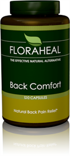 Back Comfort (120 capsules) FloraHeal