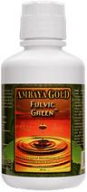 Fulvic Green ( 1 pint )* Ambaya Gold