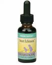Sweet Echinacea (2 fl.oz) Herbs for Kids