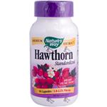 Hawthorn, Standardized (90 caps) Nature's Way