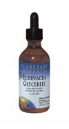 Echinacea Glycerite Peppermint (2 oz) Planetary Herbals