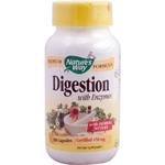 Digestion with Enzymes (100 Caps) Nature's Way