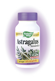 Astragalus Root (100 Caps) Nature's Way