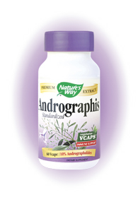 Andrographis Standardized (60 caps) Nature's Way