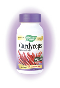 Cordyceps Standardized (60 caps) Nature's Way