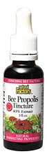 Bee Propolis Tincture (1 oz) Natural Factors